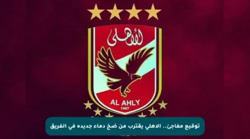 توقيع مفاجئ.. الأهلي يقترب من ضخ دماء جديدة في الفريق